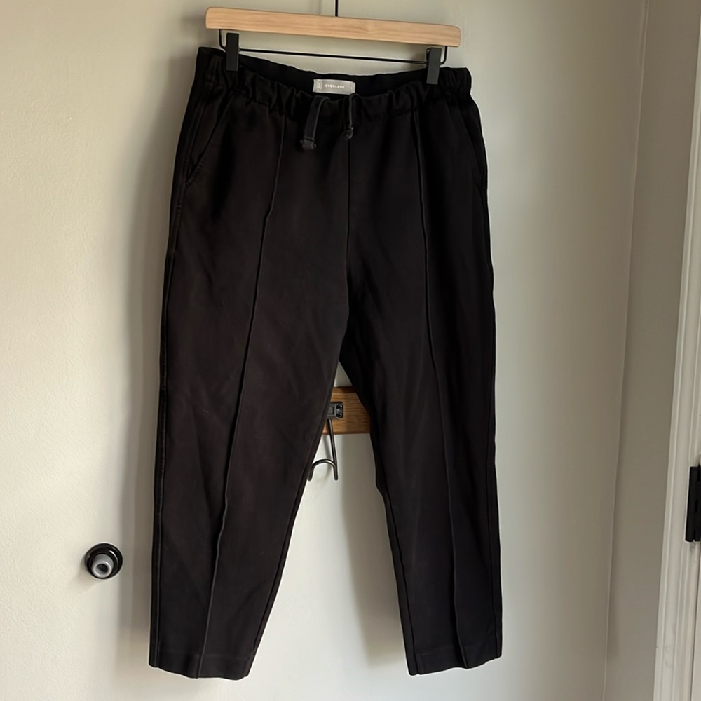 Everlane dream pants size L